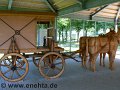Xanten_vom_24.04.2011 (21)